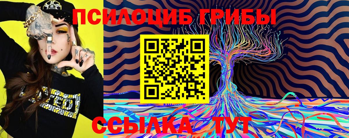 Нальчик  Галлюциногенные грибы Psilocybine cubensis  Вход с VPN 